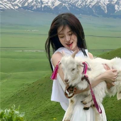 八犬传：东方八犬异闻